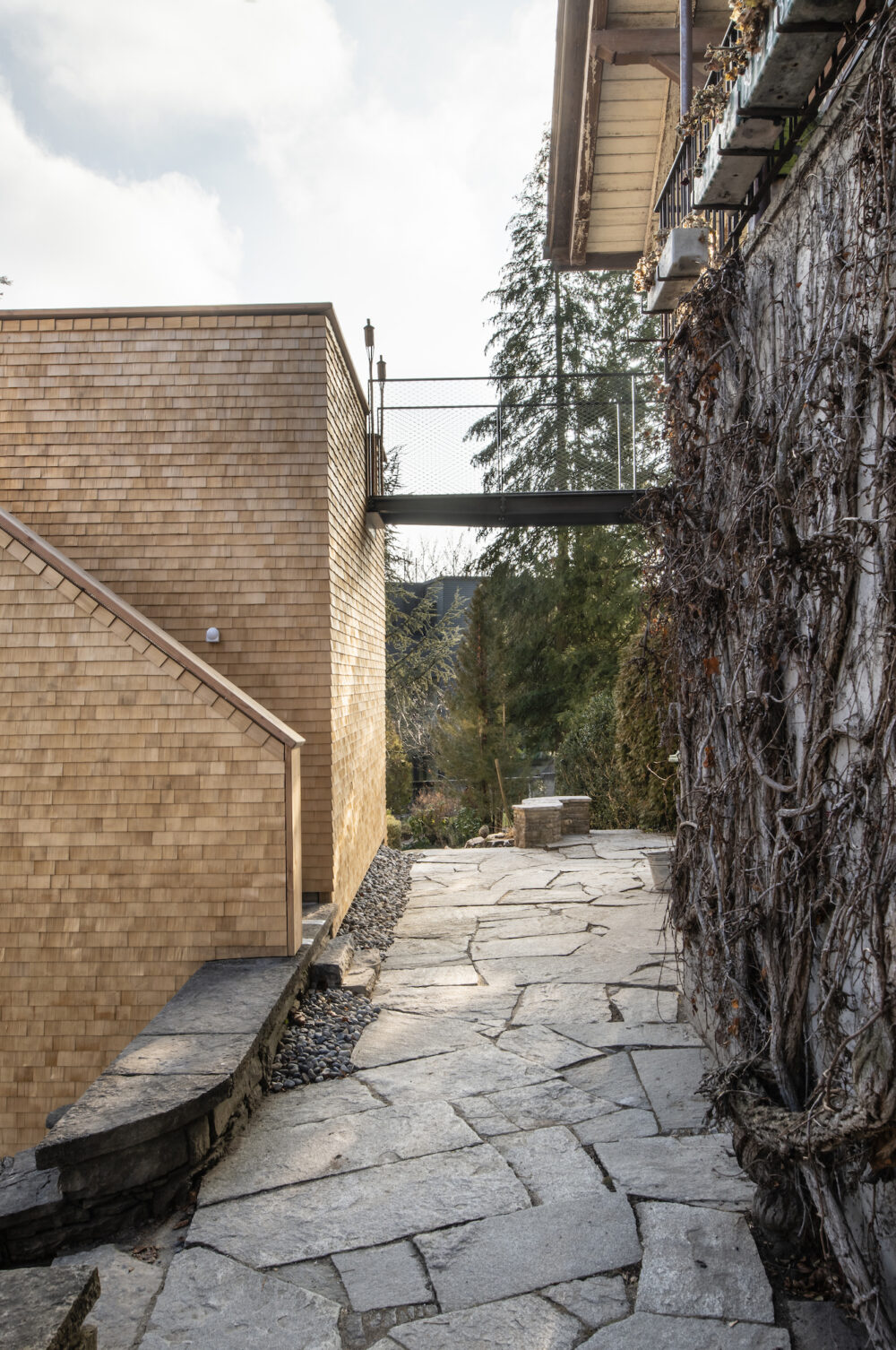 2019 01 Walkeweg 14h 9 klein